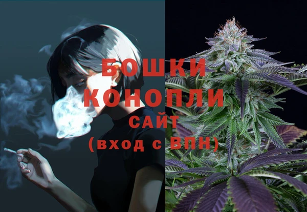 PSILOCYBIN Аксай