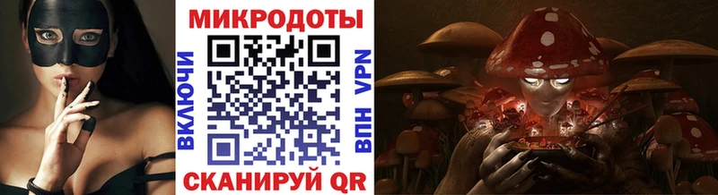 Псилоцибиновые грибы Psilocybe  Усть-Катав 